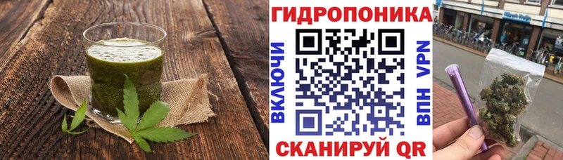 KRAKEN ONION  Зеленогорск  Печенье с ТГК конопля 