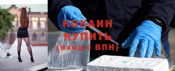 ПСИЛОЦИБИНОВЫЕ ГРИБЫ Горняк