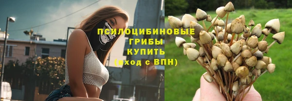 стафф Горно-Алтайск