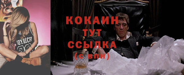 ПСИЛОЦИБИНОВЫЕ ГРИБЫ Горняк