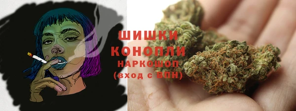 стафф Галич