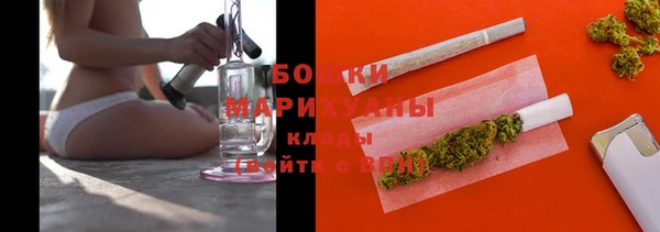 ПСИЛОЦИБИНОВЫЕ ГРИБЫ Горняк