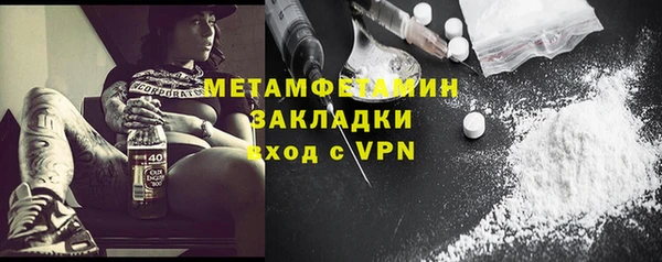 ПСИЛОЦИБИНОВЫЕ ГРИБЫ Горняк