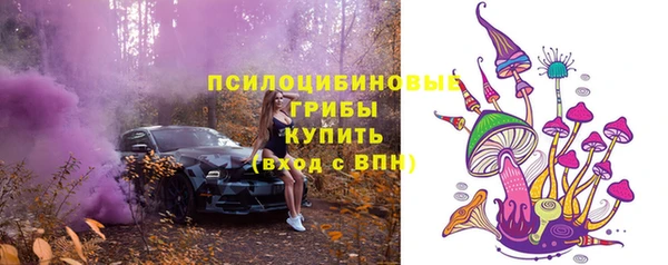 стафф Галич