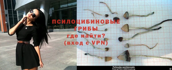 apvp Горнозаводск