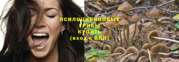 ПСИЛОЦИБИНОВЫЕ ГРИБЫ Горняк