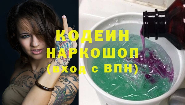 ПСИЛОЦИБИНОВЫЕ ГРИБЫ Горняк