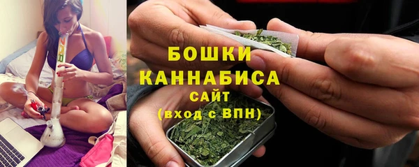 ПСИЛОЦИБИНОВЫЕ ГРИБЫ Горняк
