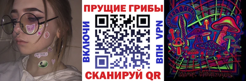 наркота  Зеленогорск  Псилоцибиновые грибы Magic Shrooms 